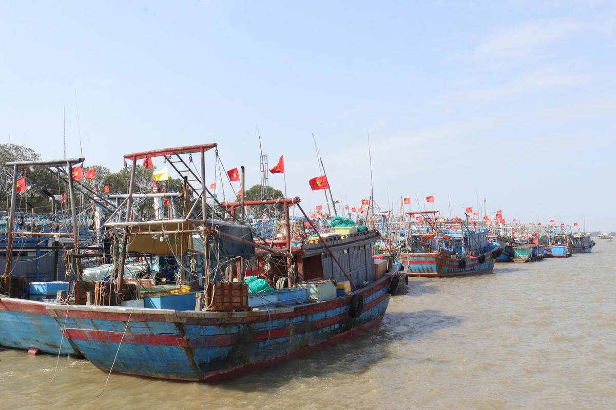 Việc xăng dầu tăng giá, dịch bệnh phức tạp cùng với giá hải sản giảm, tiêu thụ khó khăn hơn trước đang khiến cho hàng nghìn ngư dân Thanh Hoá  trong tình cảnh "sống dở chết dở".