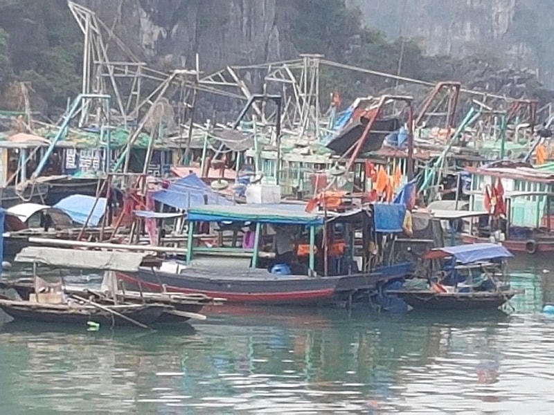 Từ ngày 4/3/2021, các phương tiện thủy sẽ không được neo đậu trái phép tại khu vực vùng đệm ven bờ Vịnh Hạ Long. Ảnh: minh họa