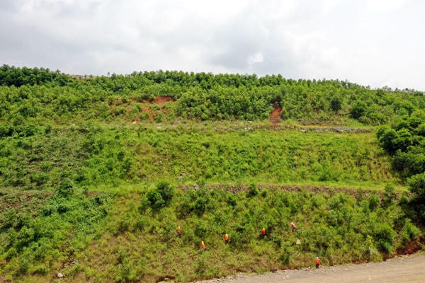 Trồng cây tại các sườn bãi thải phủ xanh đất mỏ.  