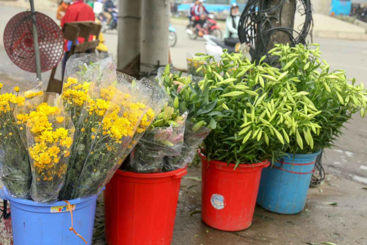 Thời điểm này trên khắp các con đường, ngõ phố và các khu chợ dân sinh của Hà Nội đã tràn ngập sắc trắng mộc mạc, tinh khôi của loại hoa này. Ảnh: L.A.