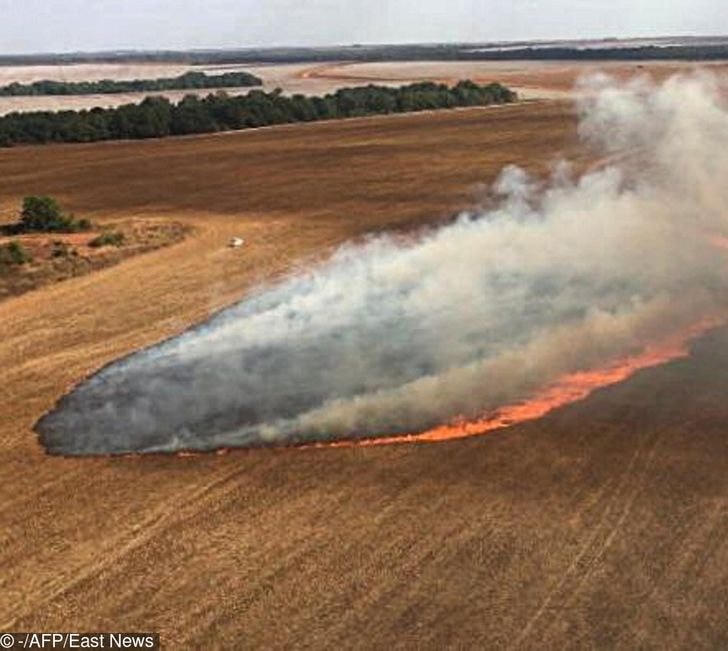 Vùng đất ngập nước lớn nhất thế giới tại Pantanal, Brazil đang bốc cháy. Điều này đang đe dọa động vật hoang dã và tạo ra không khí khắc nghiệt.  