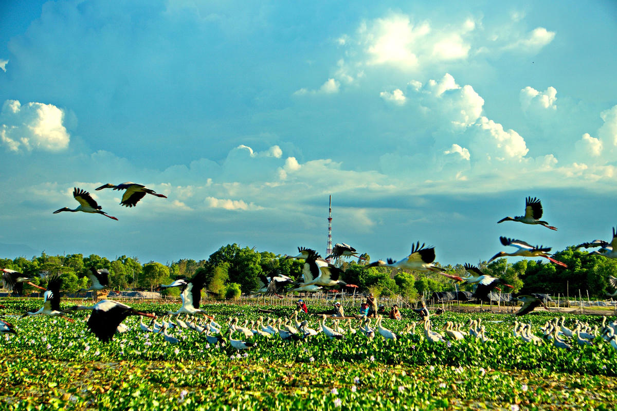 Một góc sông Đầm.