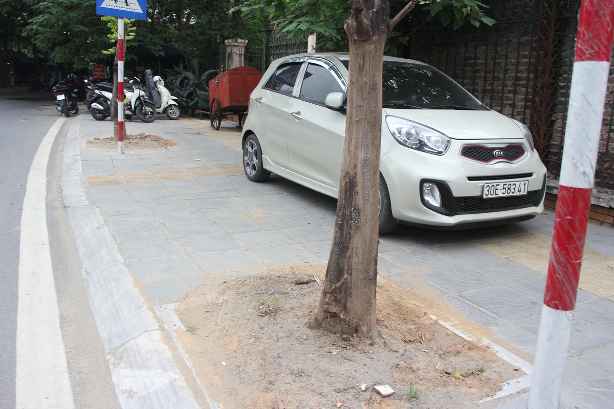 Hà Nội: Xót xa hàng chục cây xanh chết khô trên đường Trương Công Giai