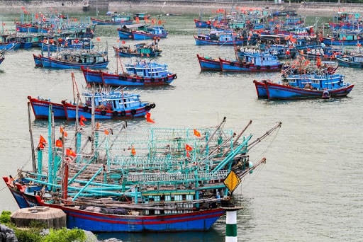 Hải Phòng yêu cầu tàu, thuyền hoạt động trên biển về nơi tránh trú bão.