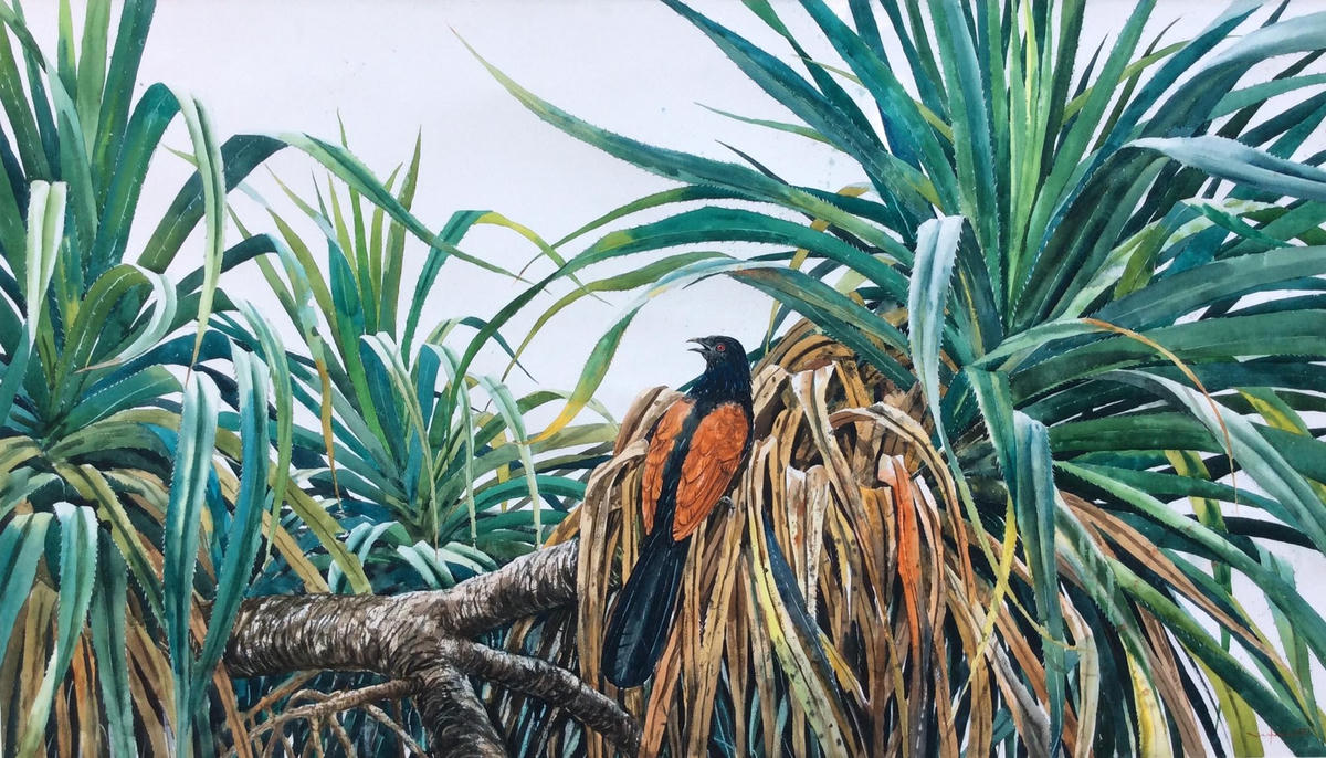 “Chuyện quê” trong tranh của họa sĩ Vũ Tuấn là những hình ảnh rất đỗi quen thuộc. Đó có thể là đàn gà, vịt lang thang kiếm ăn dưới tán cây, những chú chim vô tư tìm chỗ trú...