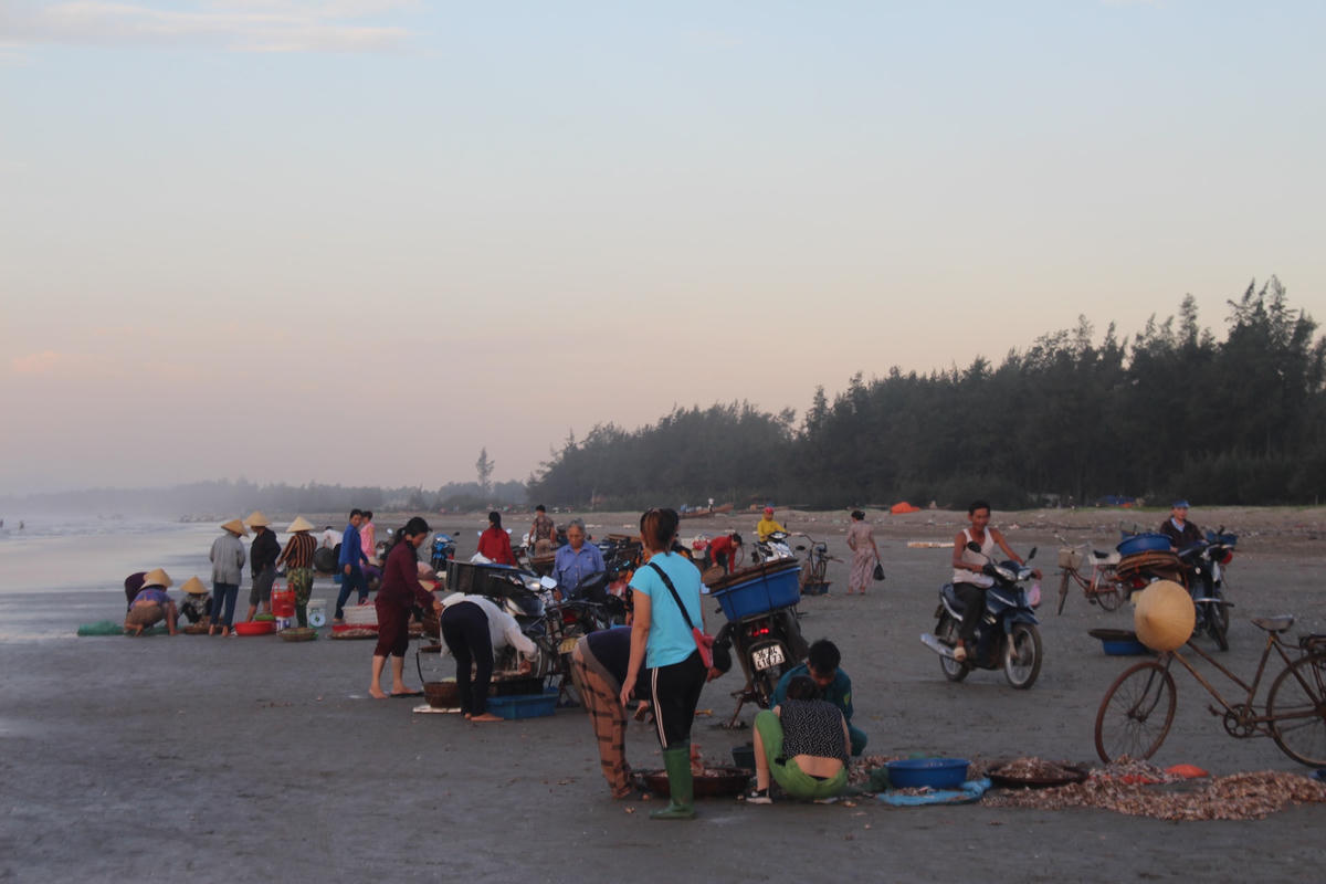 Không khí mua bán nhộn nhịp tại chợ cá trên bờ biển tại xã Quảng Nham.