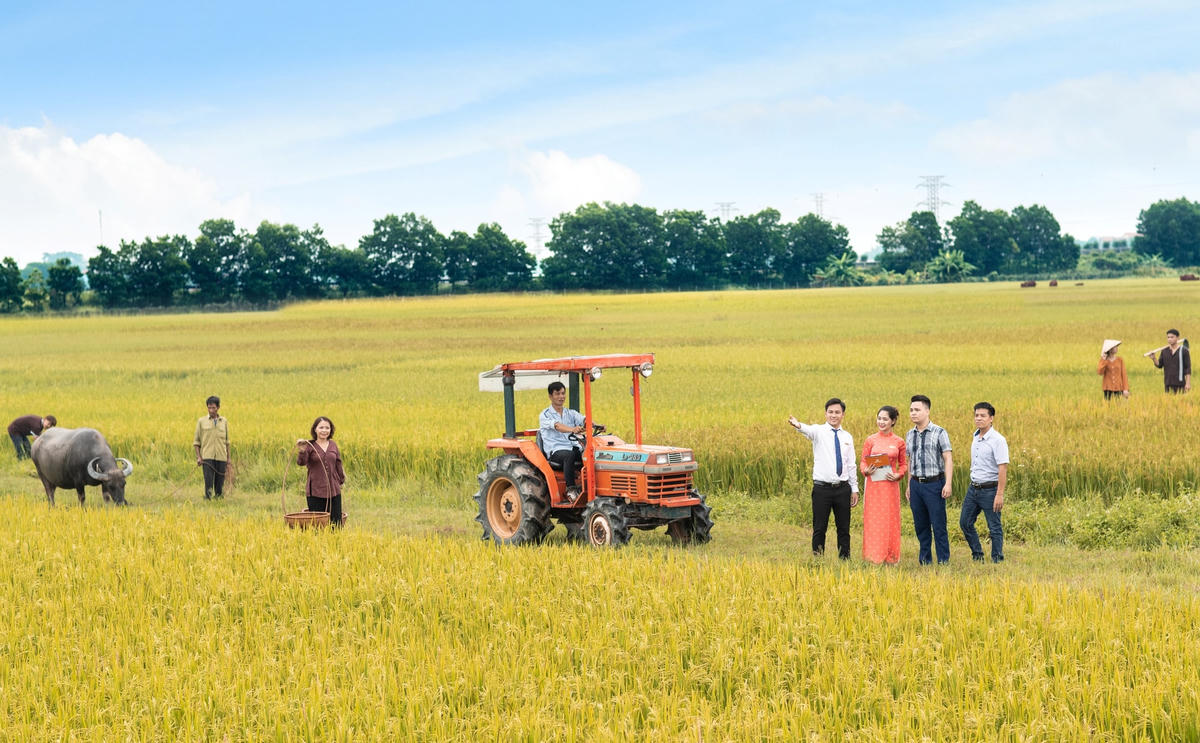 'Săn' tệp khách hàng riêng biệt, LienVietPostBank tăng tốc số hóa, chạy đua bán lẻ 