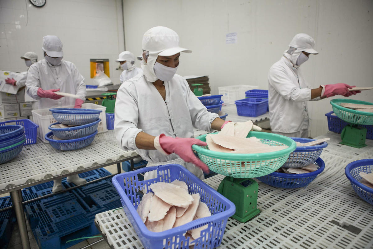 Nhiều cơ hội để doanh nghiệp ngành thủy sản bứt phá trong năm 2022.  Ảnh: Quang Vinh