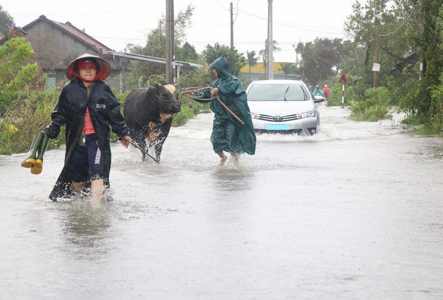 Một số địa phương tại Phú Yên có mưa to.