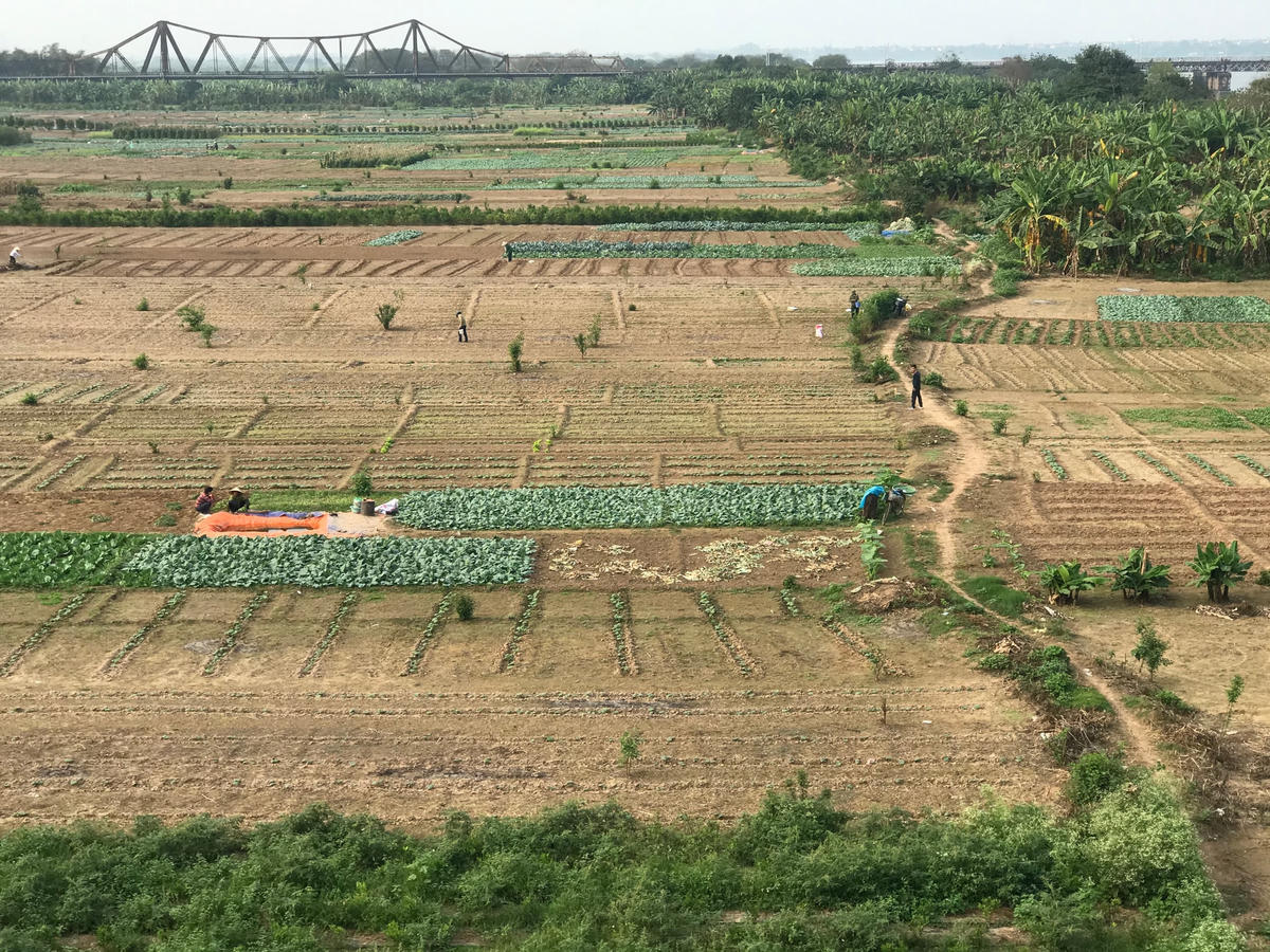 Dưới chân cầu Long Biên (Hà Nội). Ảnh: Việt Khánh.
