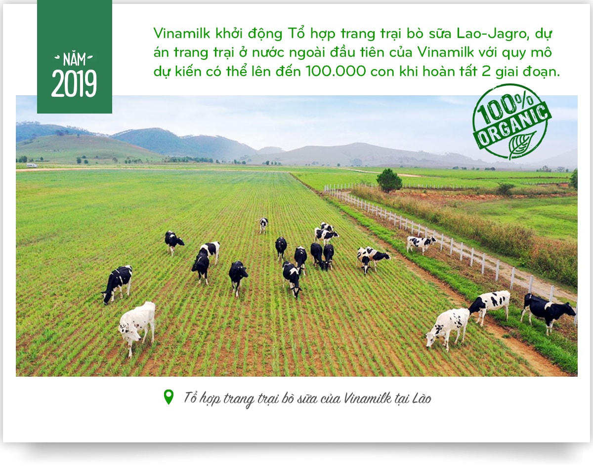 Vinamilk: 15 năm xây hệ thống trang trại bò sữa với 'bộ sưu tập' tiêu chuẩn quốc tế