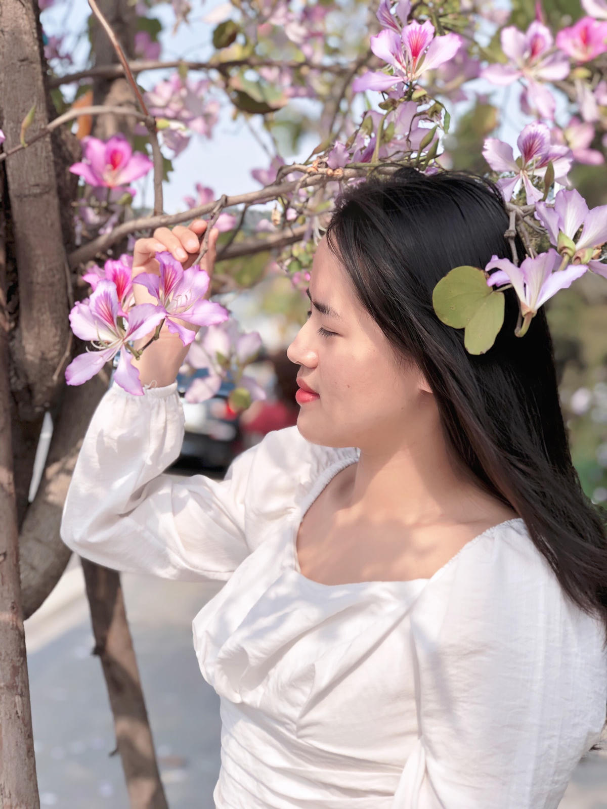 Rất nhiều bạn trẻ ở thành phố Hạ Long tới các tuyến phố có hoa ban để chụp ảnh, ghi lại những khoảnh khắc nở rộ đáng nhớ của loài hoa đặc sắc này.