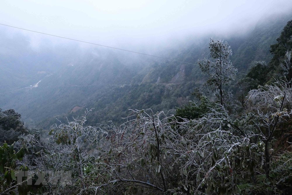 Băng giá phủ kín đoạn đèo Ô Quy Hồ thuộc địa phận tỉnh Lai Châu đi Sa Pa. (Ảnh: Nguyễn Oanh/TTXVN).