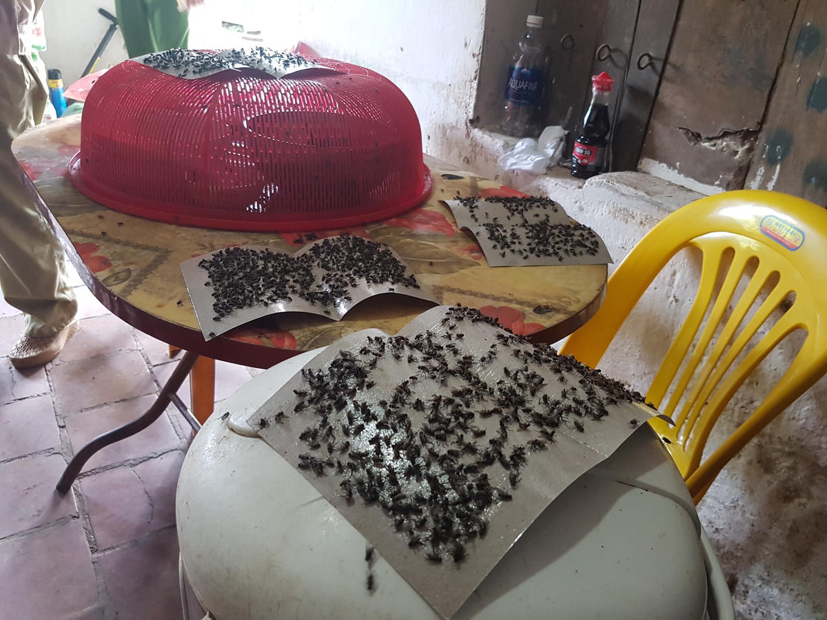 Hà Nội yêu cầu huyện Sóc Sơn khẩn trương chi trả tiền bồi thường