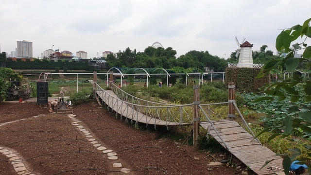 Toàn cảnh Thung lũng hoa Hồ Tây nhìn từ trên cao (Ảnh: Nguyễn Trường).