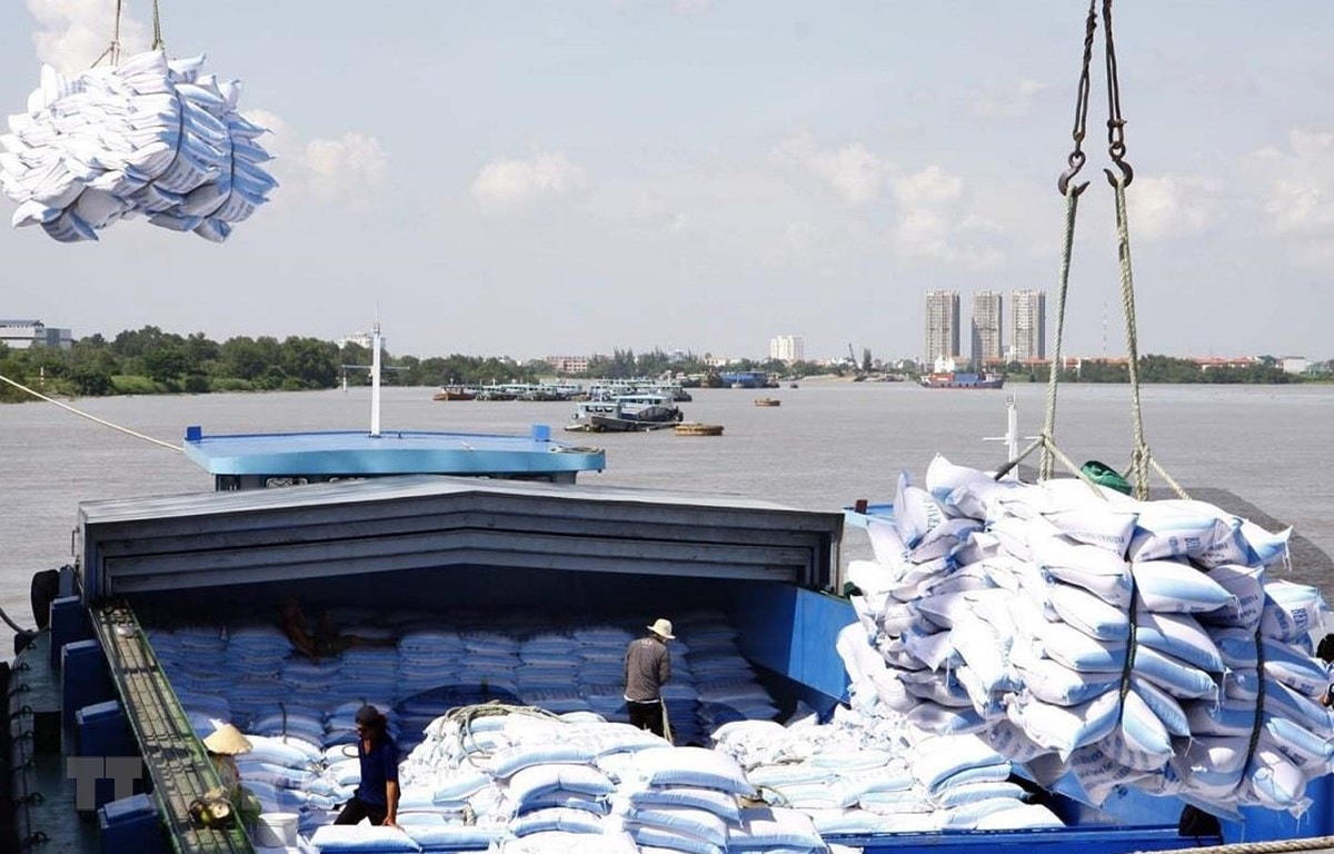 Bốc xếp gạo xuất khẩu tại cảng TP HCM.  