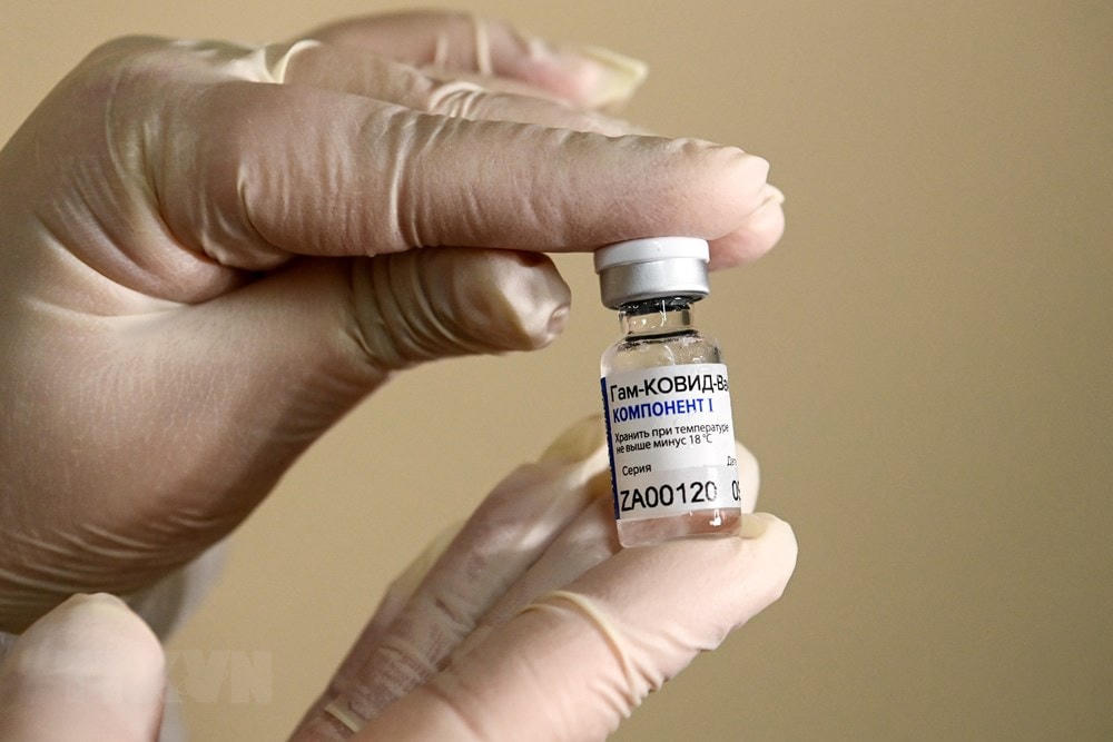 Vaccine Sputnik V. (Ảnh: AFP/TTXVN).