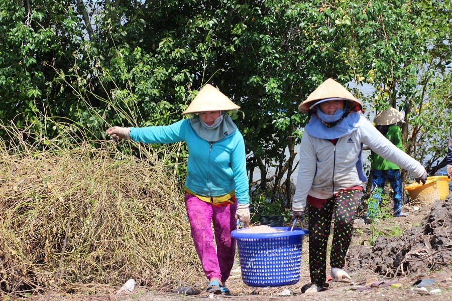 Ngư dân được mùa ruốc ai cũng tươi cười hớn hở