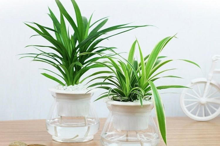 15 món đồ không nên để trong nhà tắm mà nhiều người không ngờ tới