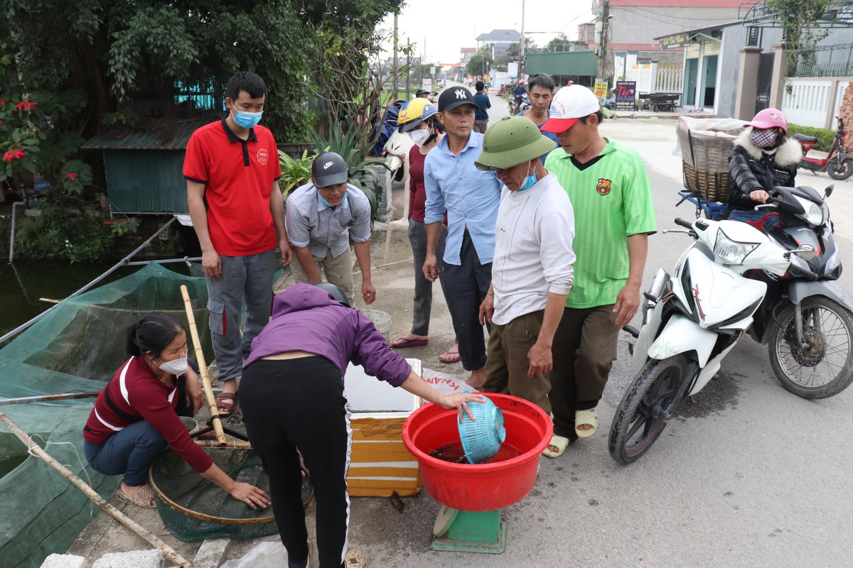 Chiều 22 Tết âm lịch (tức ngày 24/1), có mặt tại làng Tân Cổ và Tân Trúc (thị trấn Tân Phong, huyện Quảng Xương (Thanh Hóa), con đường vào làng mọi khi vắng vẻ, nay trở nên nhộn nhịp lạ thường.  