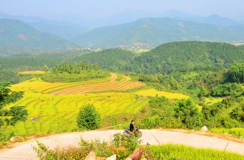 Trải nghiệm những thửa ruộng bậc thang chín vàng là một trong những hoạt động thú vị.