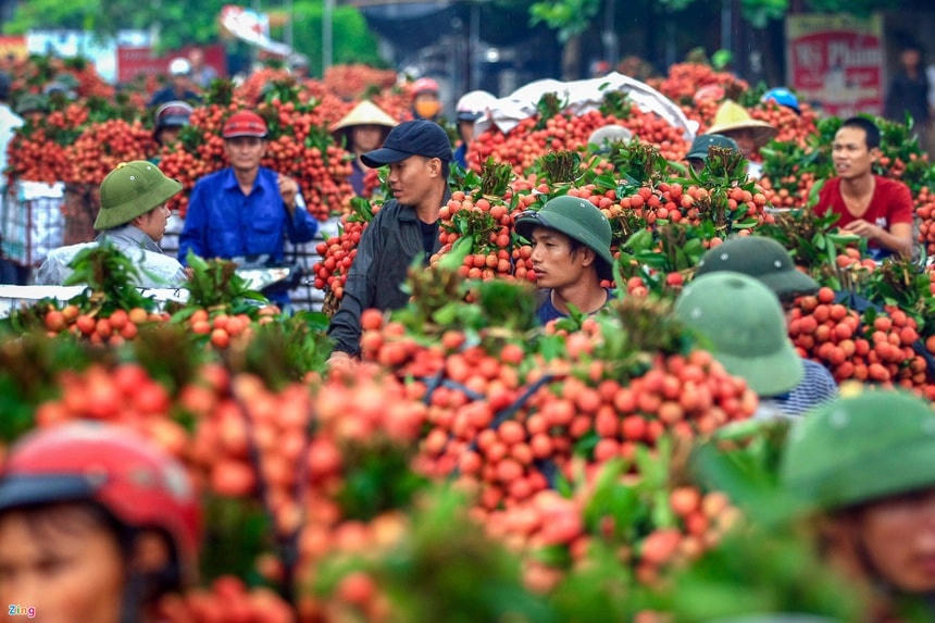 Khi nền nông nghiệp minh bạch sẽ giúp nông sản vươn ra những thị trường khó tính.