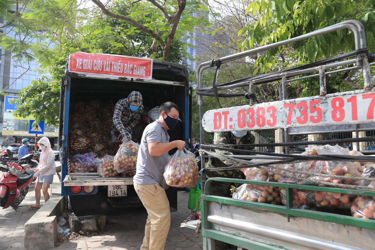 [ẢNH] Hà Nội: Giải cứu vải thiều Bắc Giang với giá 20.000 đồng/kg 