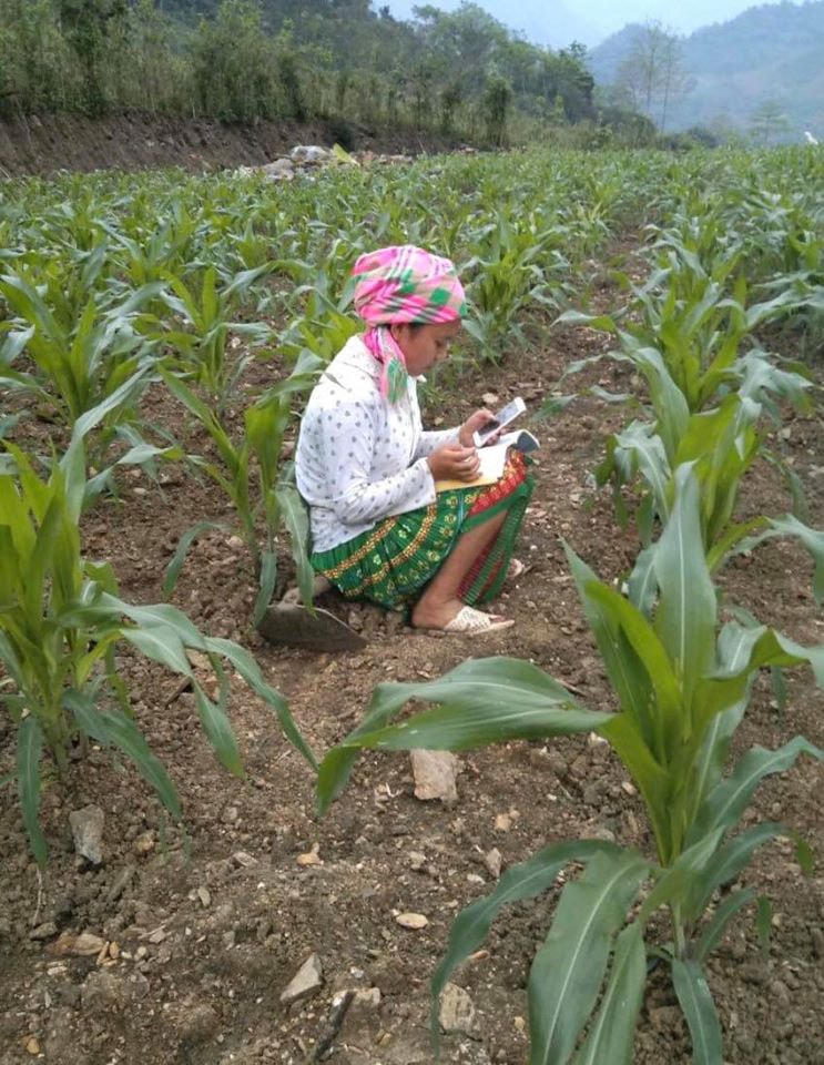 Chương trình “Sóng và máy tính cho em” thể hiện tinh thần nhân ái, chăm lo cho thế hệ tương lai.