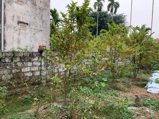Anh T. đầu tư đất ven đô với hy vọng