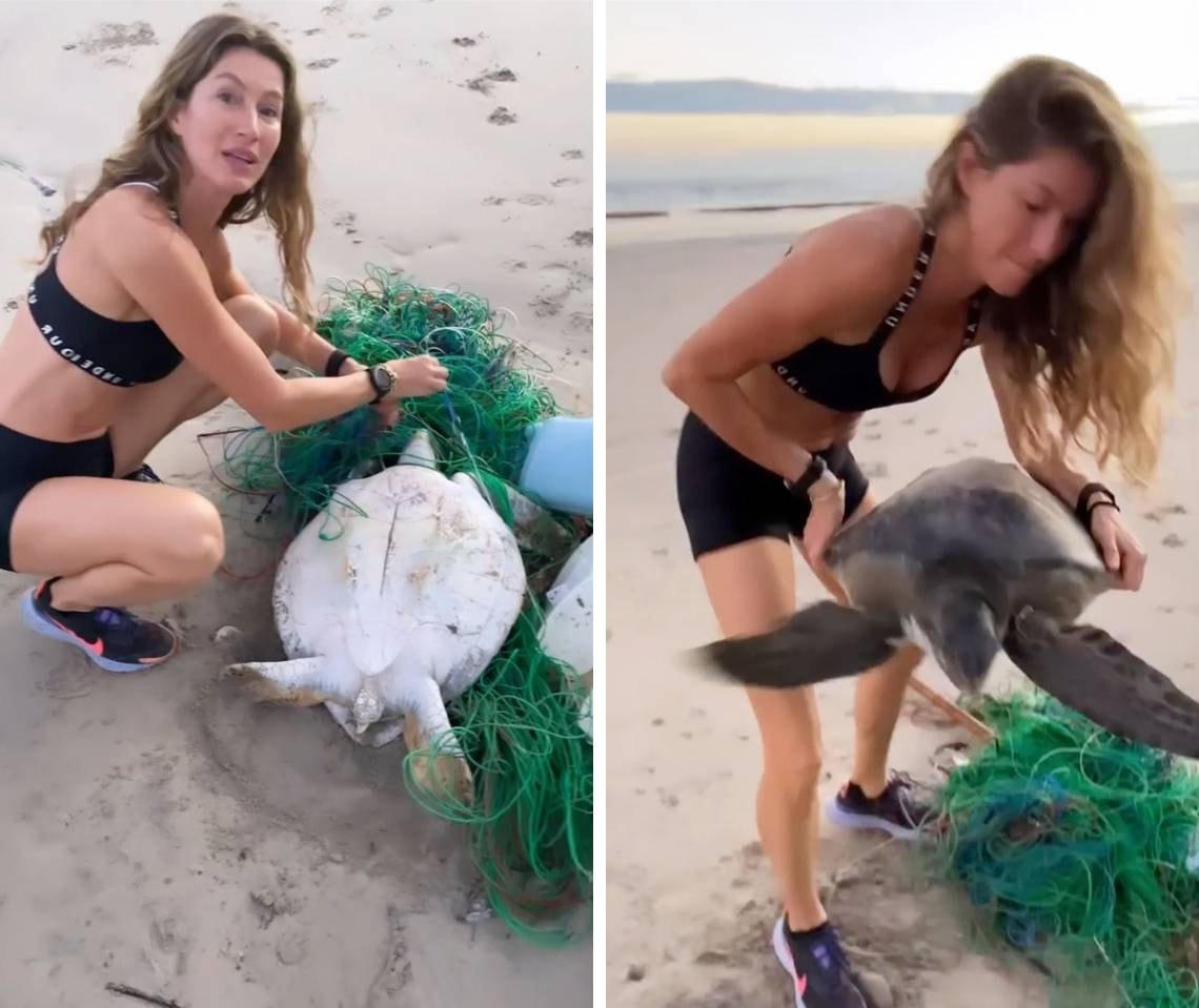Siêu mẫu Gisele Bundchen đã cứu sống một chú rùa biển bị mắc trong lưới đánh cá khi cô đang đi dạo trên bờ biển (Ảnh: New York Post).