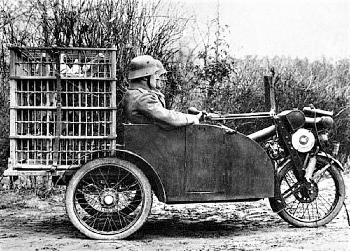 Chim bồ câu được sử dụng để đưa thư từ rất sớm. Nguồn: topwar.ru.  