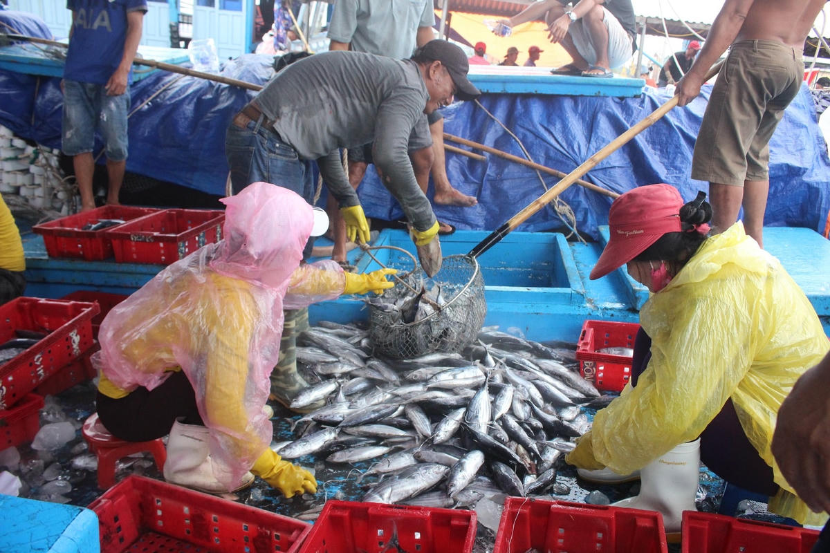 Ngư dân tranh thủ bán hải sản.