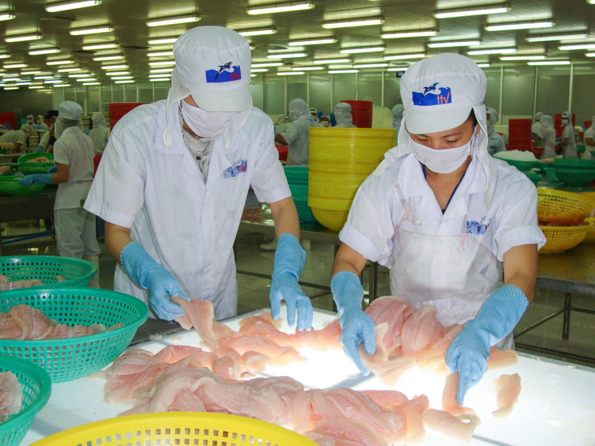 Dự kiến, ngành Thủy sản sẽ có sự phát triển tốt hơn trong năm nay.  Ảnh: Quang Vinh