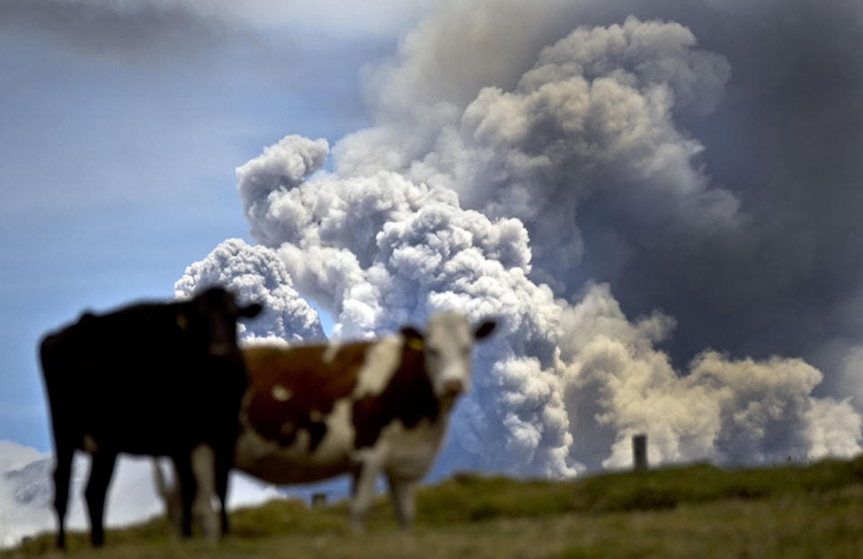 5. Cảnh phun tro của núi lửa Cotopaxi, thành phố Sangolqui, Ecuador, ngày 29 tháng 08 năm 2015. Ngon núi hoạt động lại từ ngày 14 tháng 08 sau 138 năm nằm im ắng. Ảnh Martin Bernetti / AFP / Getty.