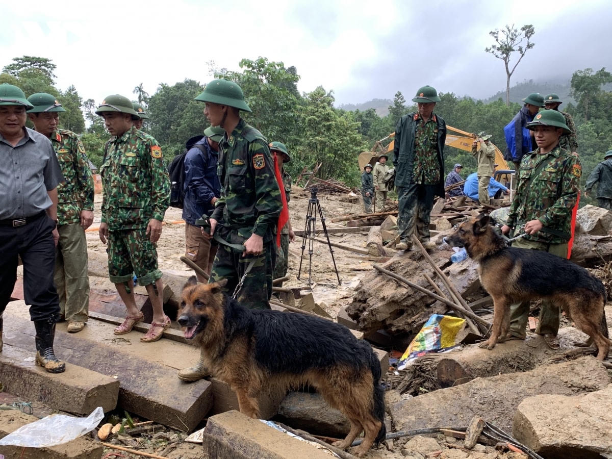 Sáng nay (31/10), 2 chú chó nghiệp vụ đã xuất hiện tại hiện trường vụ sát lở tại nóc Ông Đề và tìm kiếm các nạn nhân còn bị vùi lấp.  