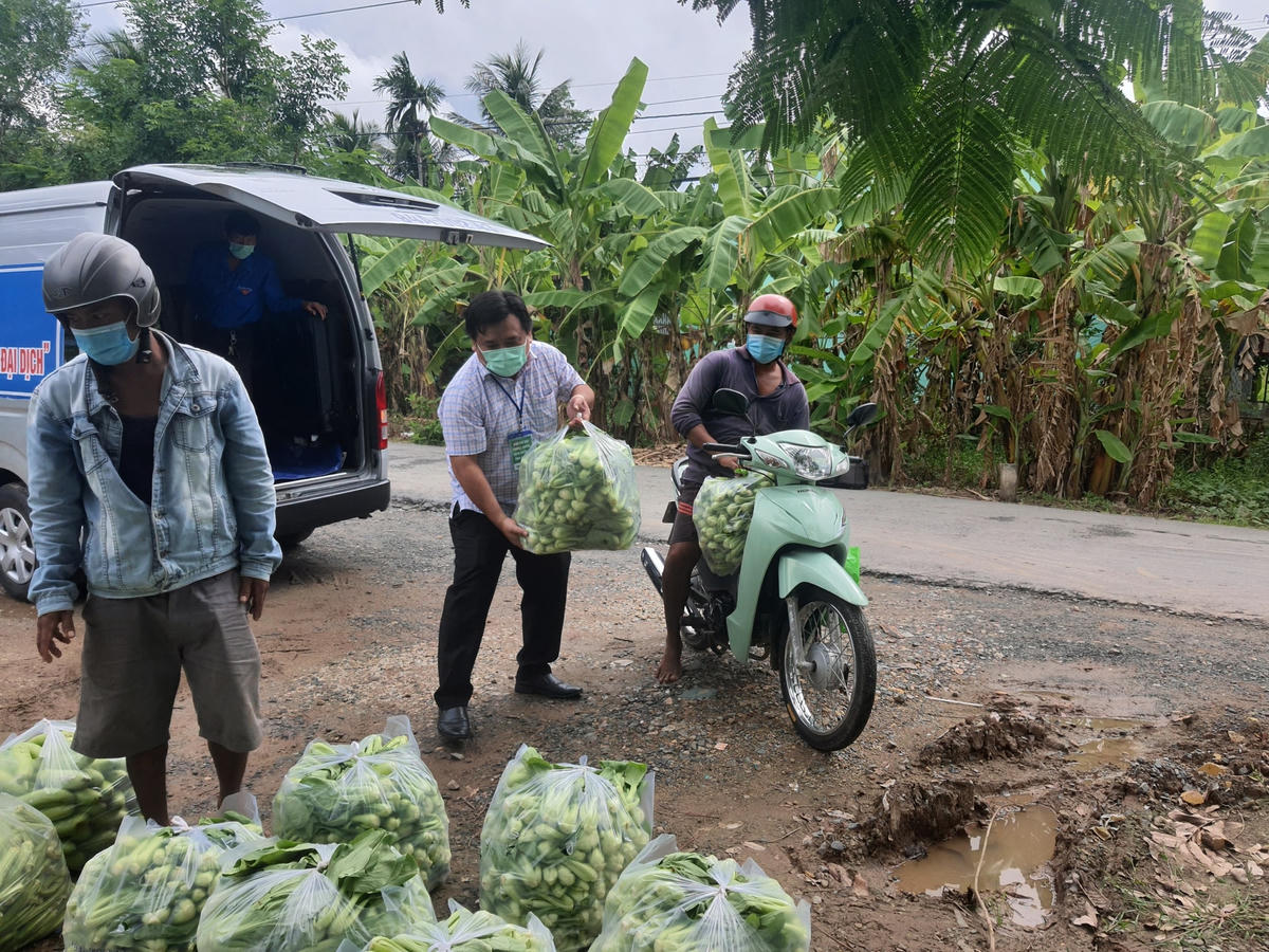Xuống tận ruộng tiếp nhận rau củ qủa chuyển về cho người dân.