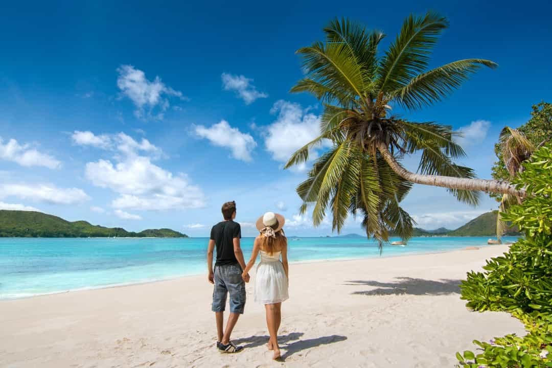 Seychelles là một phần của Châu Phi và có chỉ số phát triển con người cao. Nếu muốn khám phá Seychelles, bạn có thể sẽ đi qua thủ đô Victoria.  