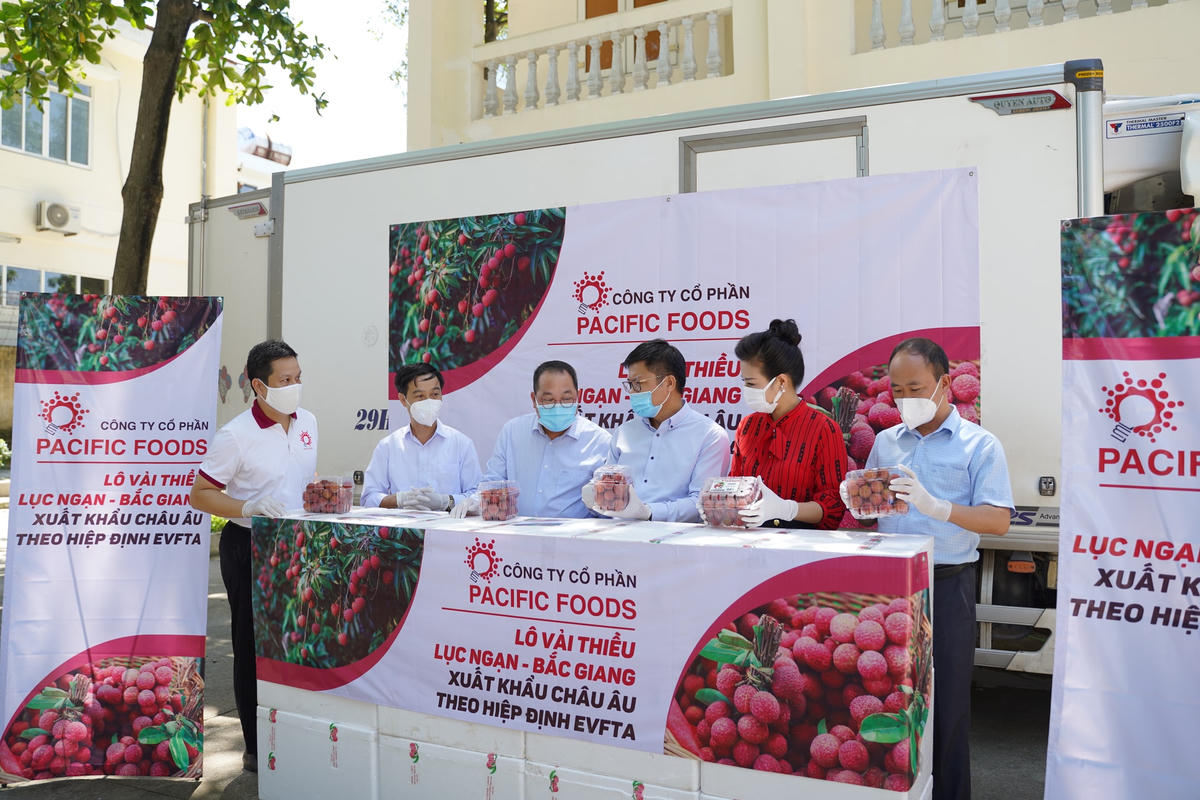 Pacific Foods xuất khẩu lô vải thiều đầu tiên đi EU.