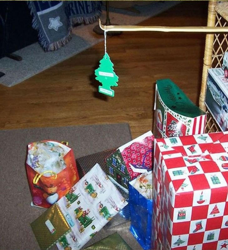 Vui Noel cùng cây thông mà không cần trang trí hay quét lá thông.  