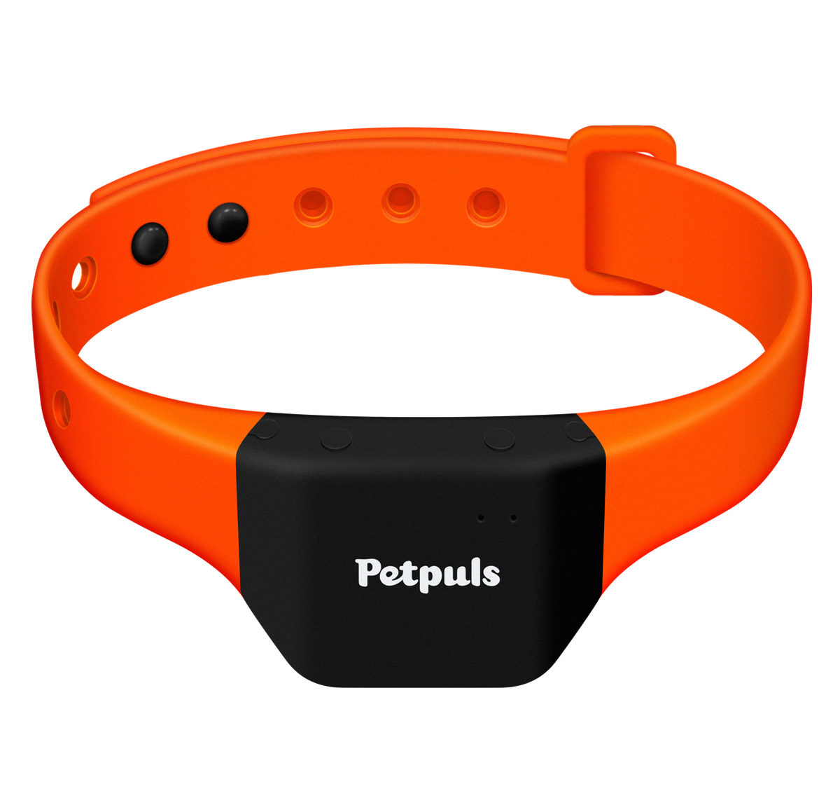 Thiết kế của vòng cổ Petpuls.