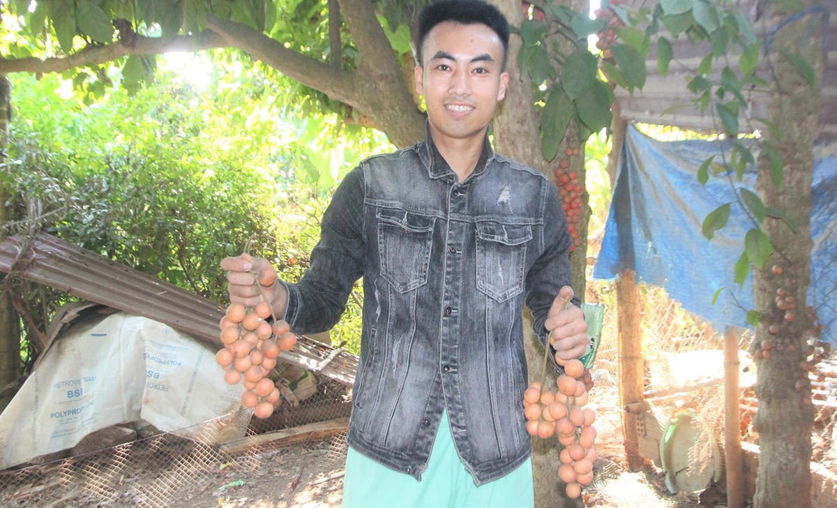 Người dân xã Tiên Thọ vui mừng thu hoạch trái dâu đất.