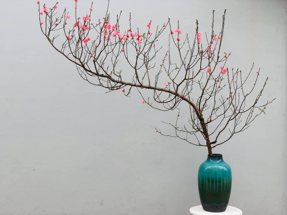 Cảnh đào dáng huyền mềm mại trang trí cho bức tường trống. (Ảnh minh hoạ).