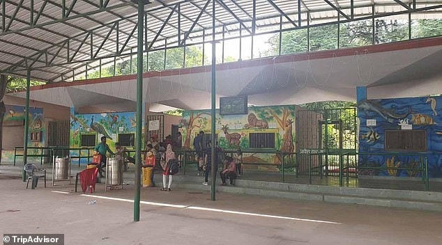 Vườn thú Kanpur là nơi đang nuôi dưỡng con khỉ nghiện rượu này.