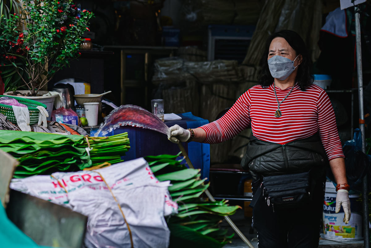Những bó lá dong phải được tưới nước thường xuyên để giữ được độ tươi trước khi đến tay khách hàng.