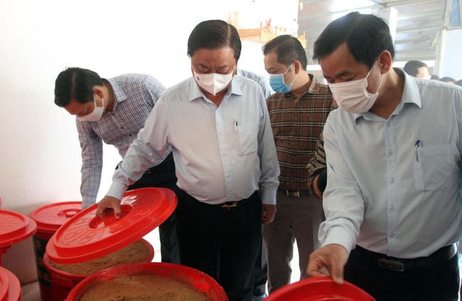Bộ trưởng Bộ NNPTNT Lê Minh Hoan kiểm tra quy trình sản xuất nông nghiệp hữu cơ bằng công nghệ vi sinh của Tập đoàn Quế Lâm tại Thừa Thiên-Huế. Ảnh: Đ.Q.