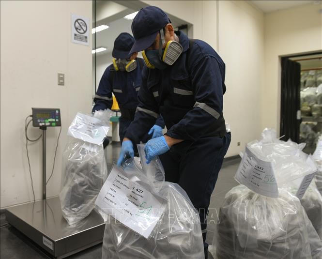 Nửa tấn cocaine giấu trong container chở cá đông lạnh