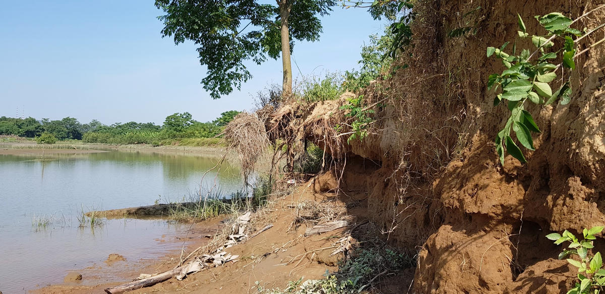 Bờ sông Lạch Trường, đoạn chạy qua phường Tào Xuyên bị sạt lở nghiêm trọng.