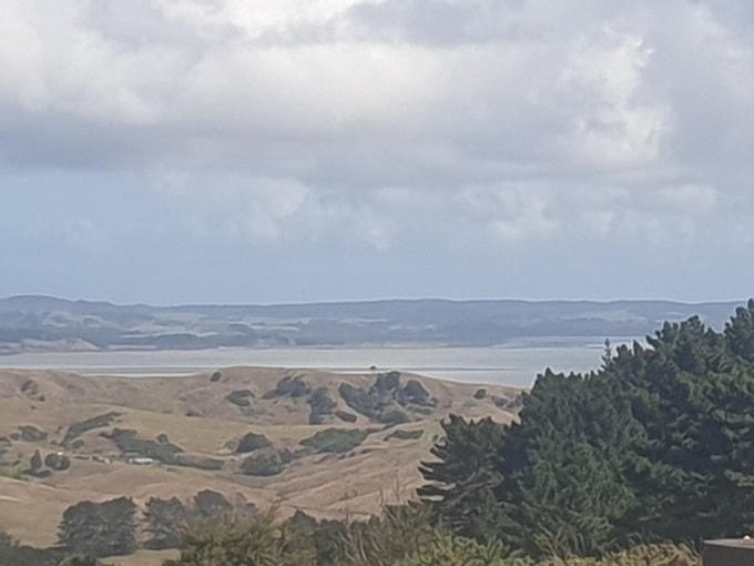 Mực nước thấp bất thường ở cảng Kaipara, New Zealand. Ảnh: Twitter/Rachel Cunlife.