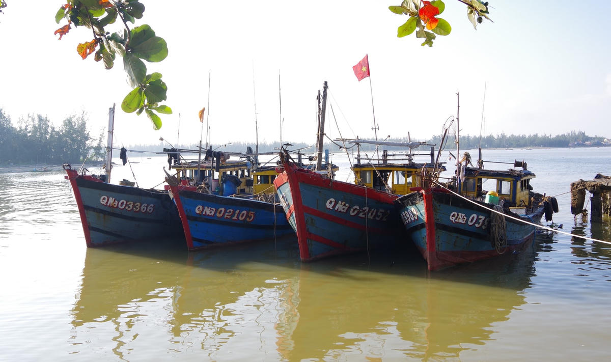 4 tàu cá khai thác thủy hải sản trái phép bị lực lượng biên phòng bắt giữ.