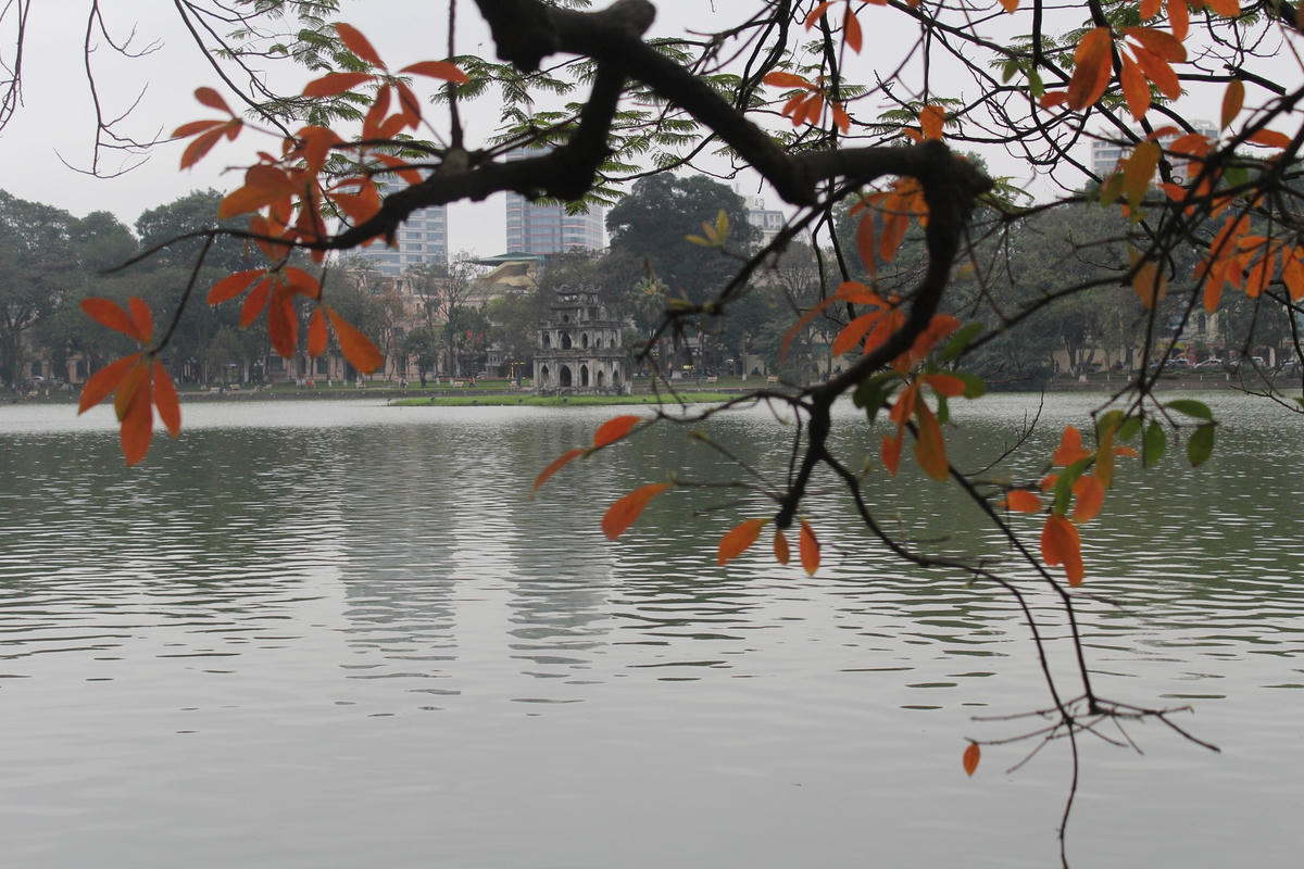 Bất chợt Phú Quang